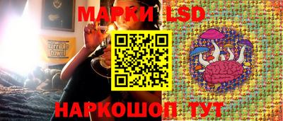 дурь Кингисепп